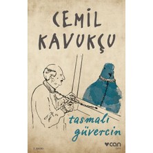 Mey İthalat Tasmalı Güvercin