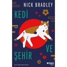 Mey İthalat Kedi ve Şehir