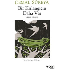Mey İthalat Bir Kırlangıcın Daha Var