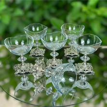 Alfafe Home 6 Adet Metal Ayaklı Gümüş Detaylı Vira Magnolia-Kase-Dondurmalık-Şekerlik