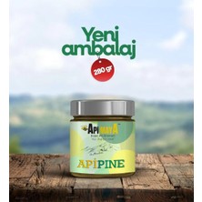 Apimaya ApiPine ; Çam Balı ve Çam Sakızı