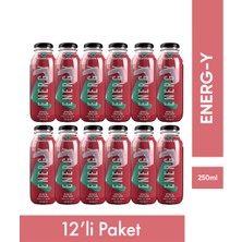 Organuca 12'li Energ-Y Smoothie 250 ml (Meyve-Sebze Suyu/püresi)