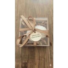 Sabrina Organizasyon Istiridye Mum Asetat Kutu