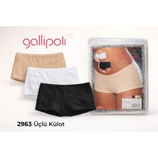 Gallipoli 2963 Kadın Pamuklu Boxer Külot Mini Şort Model 3’lü Set