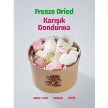ÇITLAT ÇEREZ SHOP Freeze Dried Karışık Dondurma 55 gr - Antep Fıstıklı Çilekli Vanilyalı Dondurularak Kurutulmuş Dondurma Lezzetli Atıştırmalık