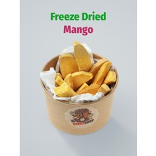 ÇITLAT ÇEREZ SHOP Mango Kuru Meyve Cipsi – Dondurularak Kurutulmuş Freeze Dried Mango %100 Doğal Glutensiz Atıştırmalık 25G