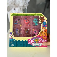 Pet Star Little Miniş 22X20 cm