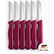 ERHCE Alman Paslanmaz Çelik Tırtıklı Keskin Meyve Sebze Bıçağı 6'lı Set