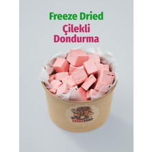 ÇITLAT ÇEREZ SHOP Çilekli Astronot Dondurması – Freeze Dried Dondurularak Kurutulmuş Çıtır Dondurma Atıştırmalık 60 gr