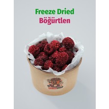 ÇITLAT ÇEREZ SHOP Freeze Dried Böğürtlen | Dondurularak Kurutulmuş Böğürtlen %100 Doğal Katkısız Sağlıklı Atıştırmalık 30 gr