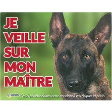 Vadigran Malinois Köpek Fotoğraf Tabelası