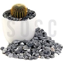 Çakıl Taşı Dolomit Taşı Bahçe Süsü Akvaryum Taşı Dere Çakıl Taşı 1-2 cm 3 kg