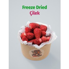 ÇITLAT ÇEREZ SHOP Çilek Kuru Meyve Cipsi – Dondurularak Kurutulmuş Freeze Dried Çilek %100 Doğal Glutensiz Atıştırmalık 20G