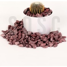 Bordo Çakıl Taşı Dolomit Taşı Bahçe Süsü Akvaryum Taşı Dere Çakıl Taşı 2-3 cm 3 kg