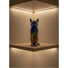 Nemere İthalat Koyu Rainbow Kedi Nemere Ithalat