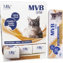 Mbv Cat Paste Multivitamin & Biotin Kedi Macunu 50 gr (Immün Destek ve Tüy Sağlığı)