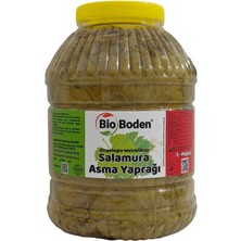 Sarıcaovadan Salamura Asma Yaprağı 5 Lik Damardız Sapsız