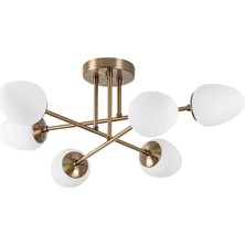Mudo Home Perla 6'lı Gold Avize 32X81 cm