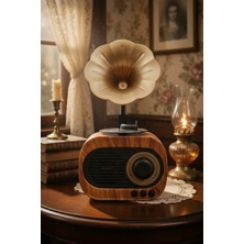 Gunkes B5 Nostaljik Mini Radyo Gramofon Bluetooth Hoparlör Fm USB Sd Yüksek Ses Speaker