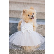 Patipin Fiyonklu Tüllü Köpek Elbisesi - Cırt Cırtlı Beyaz Köpek Elbisesi