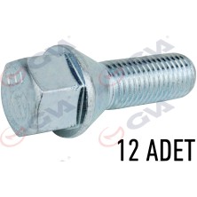 GVA Bijon Civatası Renault Megane-Clıo Y.m. Paket 12 Febi 49873 8200473355 (12 Adet)