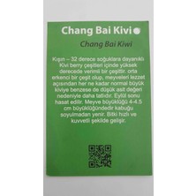 Minikivi Chang Bai Erkekli Dişili 2 Fidan