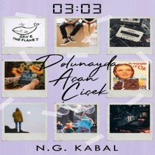 03:03 Dolunayda Açan Çiçek - Ciltsiz