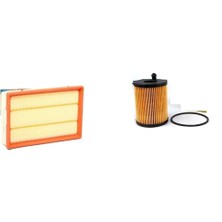Sardes Filtre Seti Citroen C4 Picasso Iı 1.6 Hdi 115 Beygir 2013+ 2li Hava + Yağ Filtre