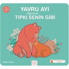 Yavru Ayı Öğreniyor Tıpkı Senin Gibi