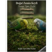 Doğal Kuş Kafesi Yosunu | Dekoratif Zemin Kaplama | Estetik Doğal Görünüm