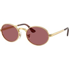 Ray-Ban RB3931 001 Af 54 Unisex Güneş Gözlüğü