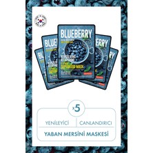 Dermal Yenileyici ve Canlandırıcı Yaban Mersini Maskesi X5 Adet