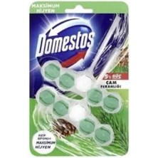 Domestos Wc Blok 5 Lı Cam Ferahlıgı 2X50 gr