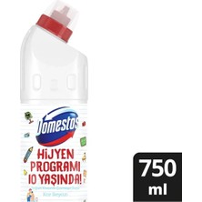 Domestos 806 gr Kar Beyazi Dmsts