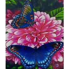 Elegantshop 5d Yapışan Boncuk Mozaik Tablo 40*50 cm H5X35