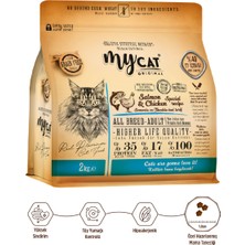 Mycat Somon ve Tavuklu Kedi Maması 2kg