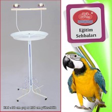 Techmrt Dayang Papağan Eğitim Sehbası 56X138CM Beyaz