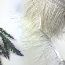 Beyaz Deve Kuşu 2 Metre Şerit Beyaz Deve Kuşu Tüyleri