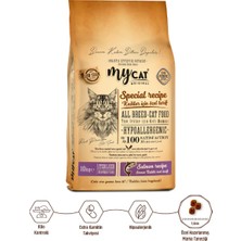 Mycat Somonlu Kısırlaştırılmış Kedi Maması 10KG