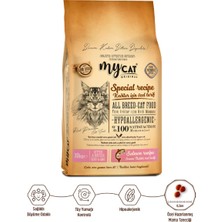 Mycat Somon Balıklı Yavru Kedi Maması 10KG