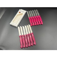 Solingen Simli Meyve Bıçağı 12'li