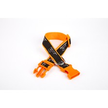 Balkan Grup Köpek Desenli Dokuma Köpek Boyun Tasması 3 cm x 36-60 cm Tcu