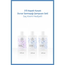 Otacı Kepek Karşıtı Duvar Sarmaşığı Şampuan Seti-Saç Kremi Hediyeli