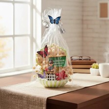 Özfırat Pvc Yapı Mini Midye Teraryum - Öğretmenler Günü Hediyesi