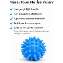 Case Dikenli Duyu Masaj Topu Msd El Egzersiz