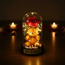 Özfırat Pvc Yapı Ayıcıklı Ledli Gül Fanus