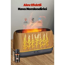 Concord Hava Nemlendirici Alev Efektli Gece Lambası Koku Dağıtıcı Relax Aromaterapi Difüzör