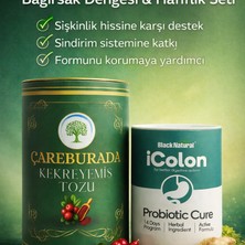 Çare Burada Çareburada Bağırsak Dengesi & Hafiflik Seti Kekreyemiş Tozu 8 G x 20 Stick + Icolon Probiyotik 240 G