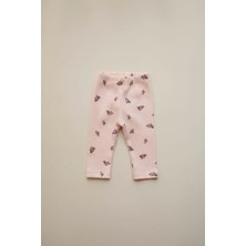 Oh la la Koala For Little Ones Üzüm  Baskılı Kız Bebek Kaşkorse Tayt