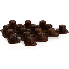 Ana Arı Larva Gözü Altı Kahverengi - 100 Ad.